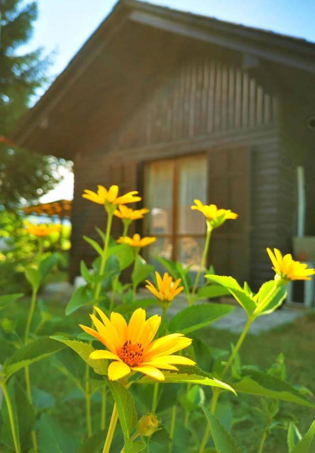 Merikotka - A Cozy Wooden Cottage, Slovenia Braslovce Exterior photo
