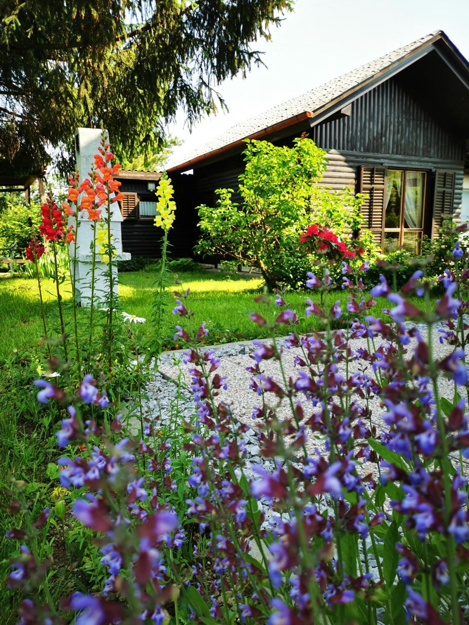 Merikotka - A Cozy Wooden Cottage, Slovenia Braslovce Exterior photo