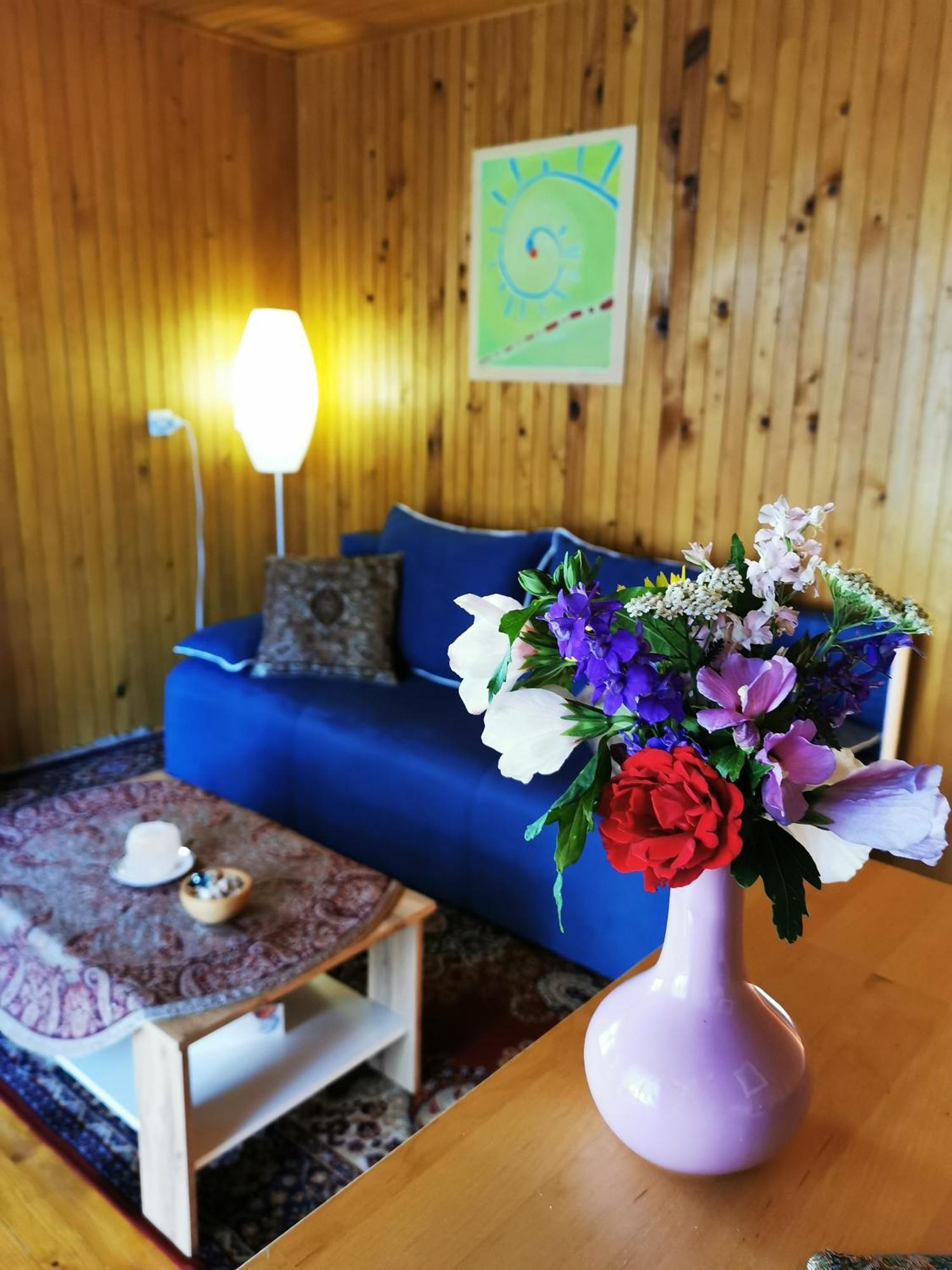 Merikotka - A Cozy Wooden Cottage, Slovenia Braslovce Exterior photo