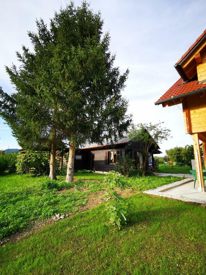 Merikotka - A Cozy Wooden Cottage, Slovenia Braslovce Exterior photo