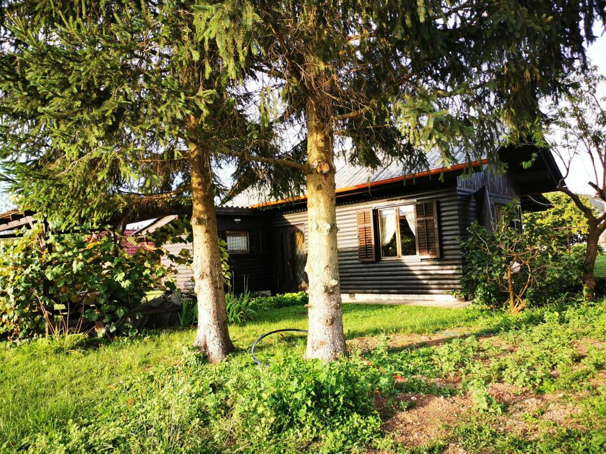 Merikotka - A Cozy Wooden Cottage, Slovenia Braslovce Exterior photo